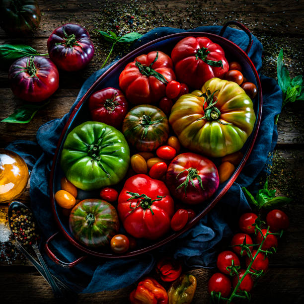 tomates vari green and brown plant on black textile