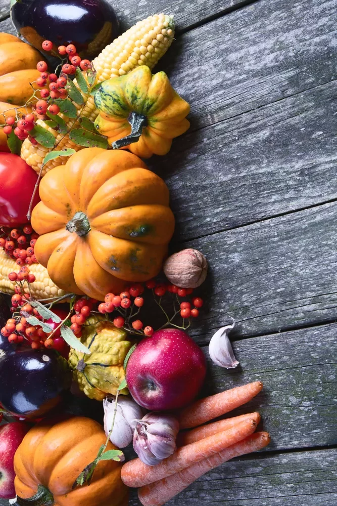 courge